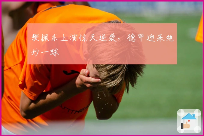 樊振东上演惊天逆袭，德甲迎来绝妙一球