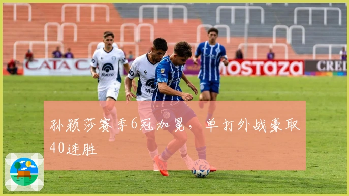 孙颖莎赛季6冠加冕，单打外战豪取40连胜